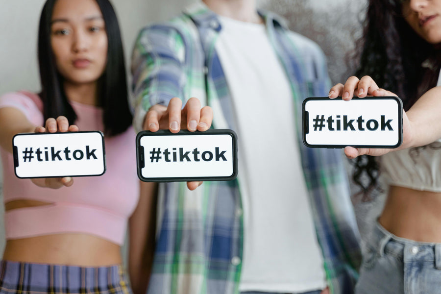 Dinner in 20 Minutes – 3 Ingredient Meals from TikTok