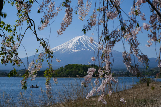 Mount Fuji Felt Unreal: Our Family Day Trip From Tokyo (And Why It Was Worth Every Step)